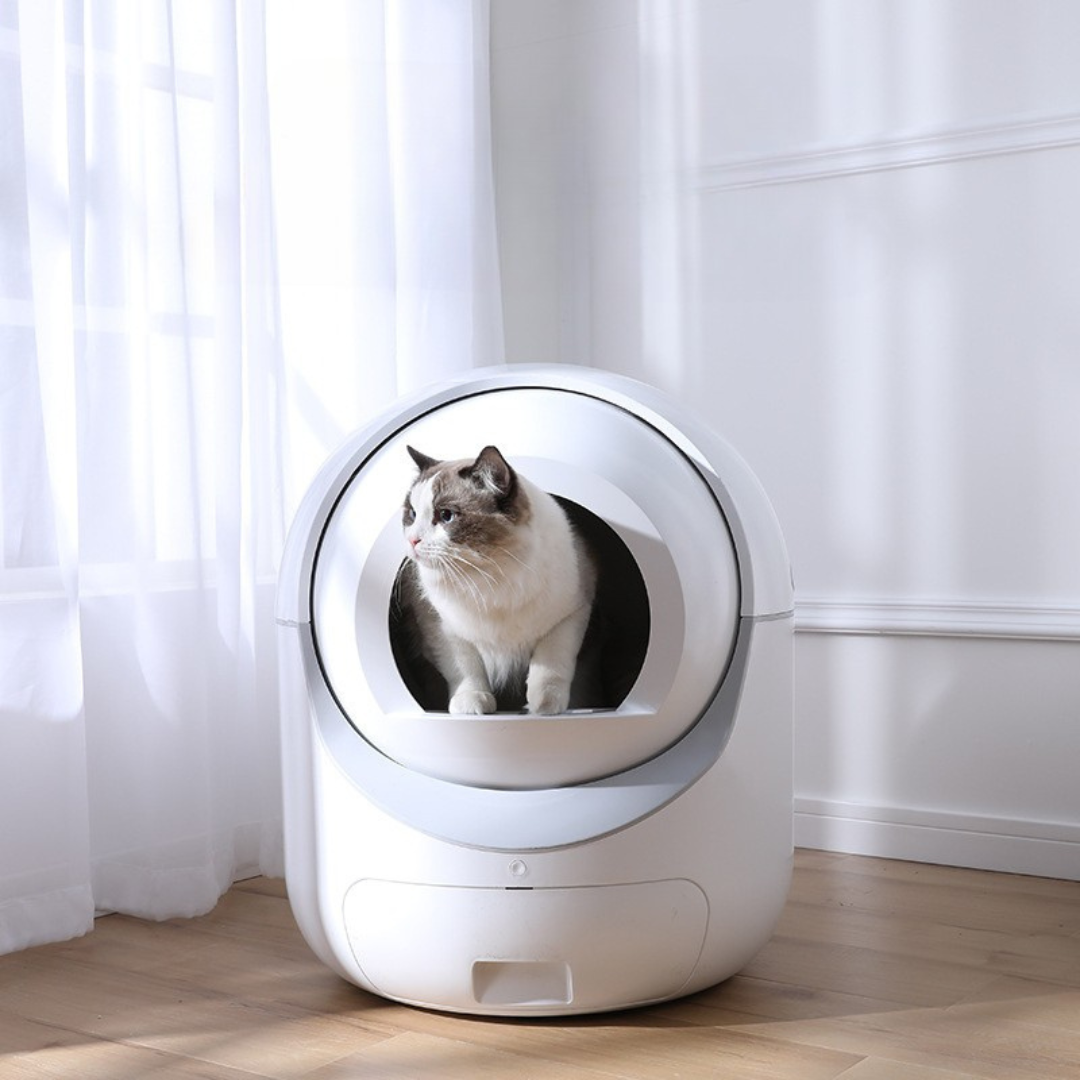 Automatic Self-Cleaning Cat Litter Box – Smart App, Quiet, Large Capacity