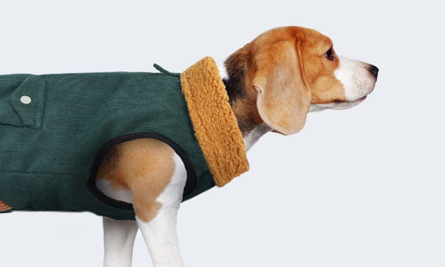 Abbigliamento per Cani