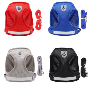 Scopri il tuo Kit Regalo di Natale