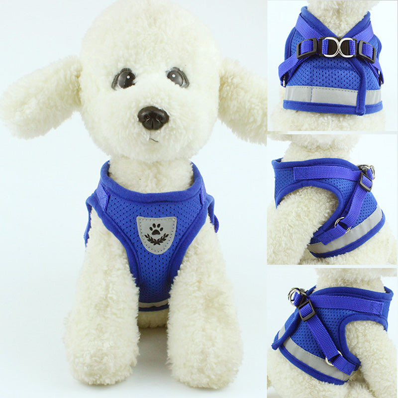 Pettorina Anti‑Fuga e Guinzaglio Regolabili e Traspiranti per Cani e Gatti