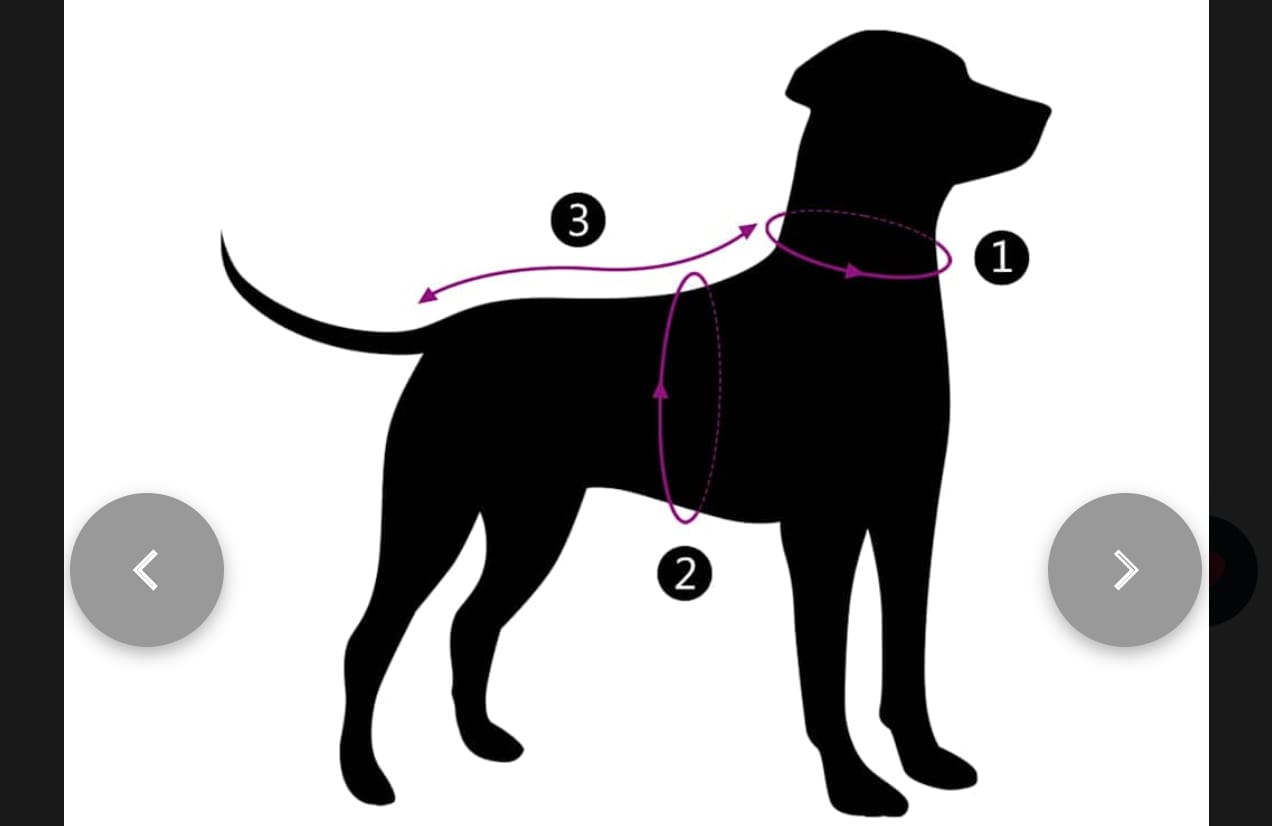 Cappotto Cani Imbracatura Impermeabile V-PET Elite Comfort Harness