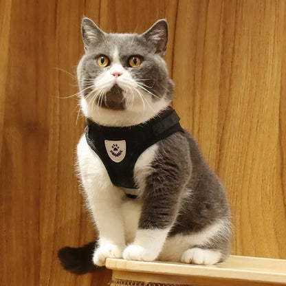 Reflective Escape-Proof Cat & Small Dog Harness Set – Breathable Mesh with Leash (Copy)