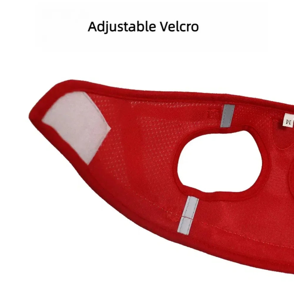 Reflective Escape-Proof Cat & Small Dog Harness Set – Breathable Mesh with Leash (Copy)