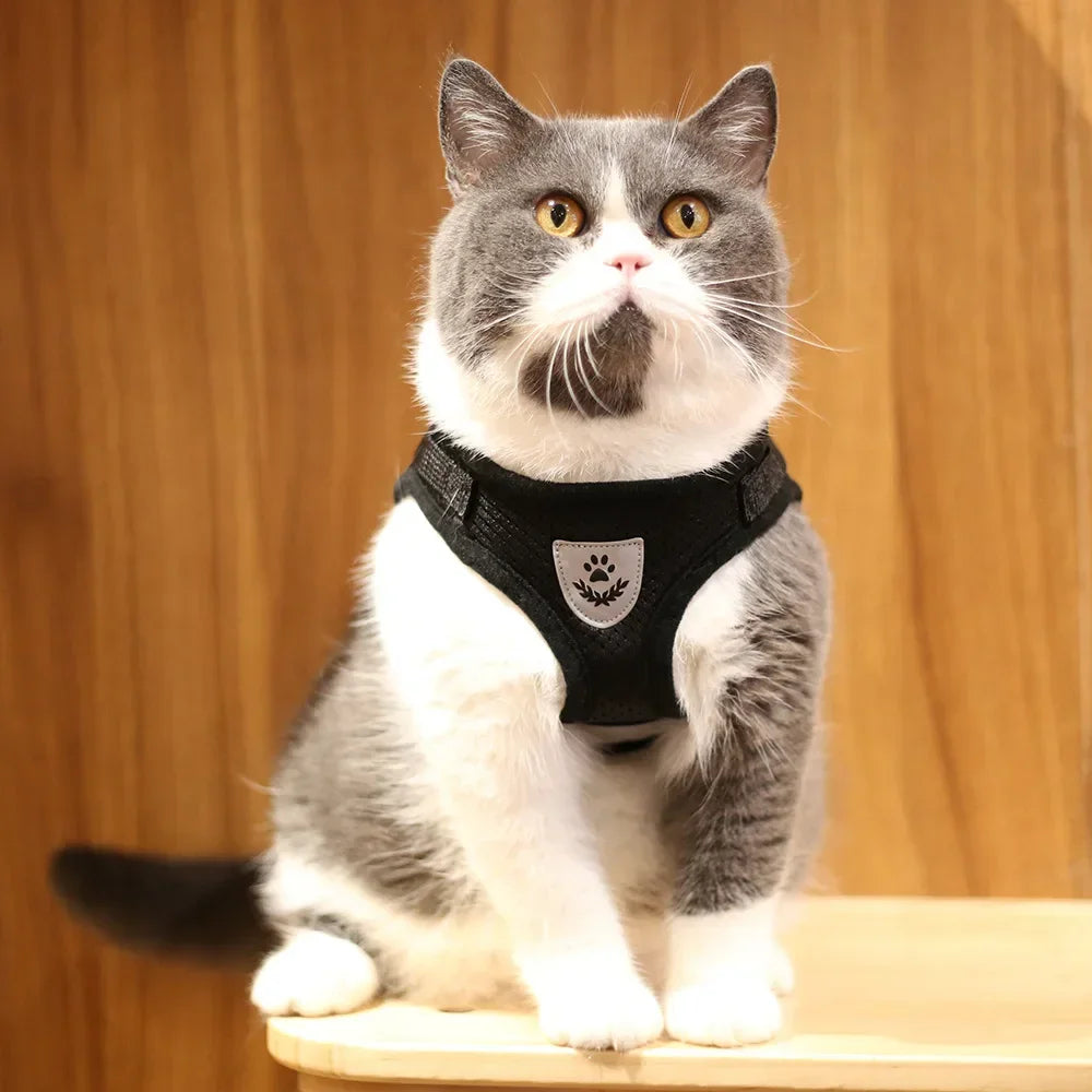 Reflective Escape-Proof Cat & Small Dog Harness Set – Breathable Mesh with Leash (Copy)
