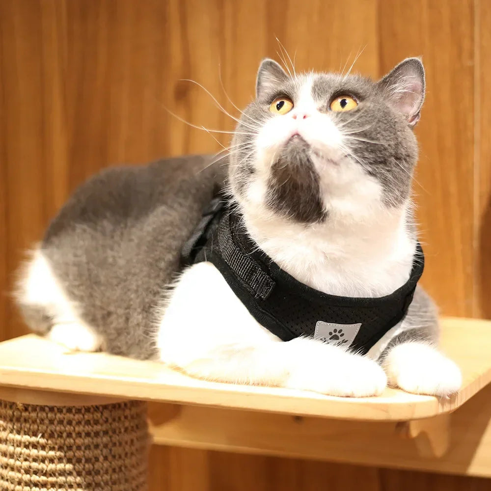 Reflective Escape-Proof Cat & Small Dog Harness Set – Breathable Mesh with Leash (Copy)