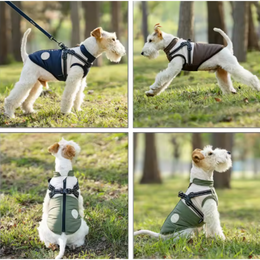 Cappotto Cani Imbracatura Impermeabile V-PET Elite Comfort Harness
