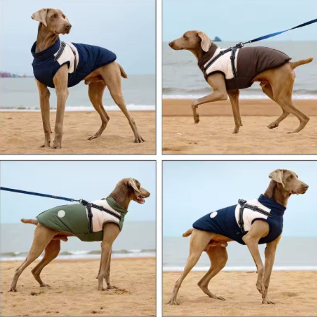 Cappotto Cani Imbracatura Impermeabile V-PET Elite Comfort Harness