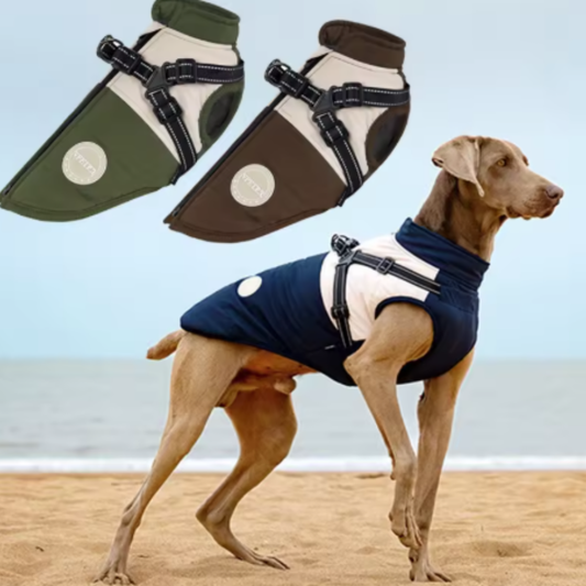 Cappotto Cani Imbracatura Impermeabile V-PET Elite Comfort Harness