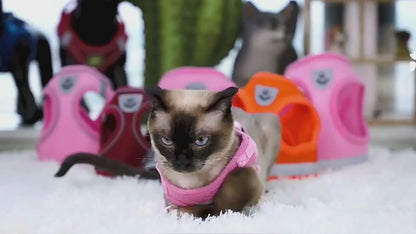 Pettorina Anti‑Fuga e Guinzaglio Regolabili e Traspiranti per Cani e Gatti